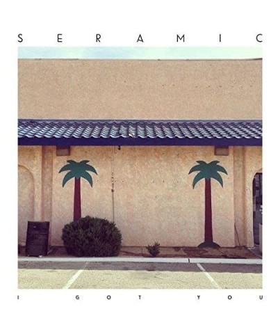 Seramic I Got You Vinyl Record $4.33 Vinyl