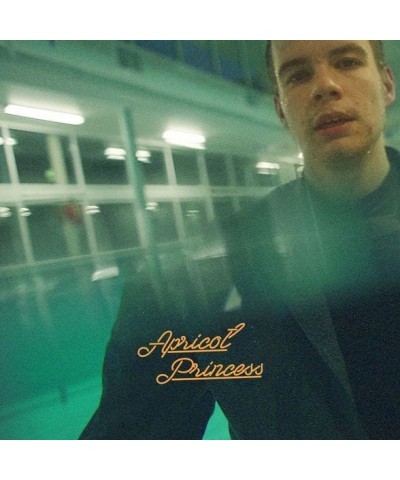 Rex Orange County APRICOT PRINCESS CD $5.51 CD